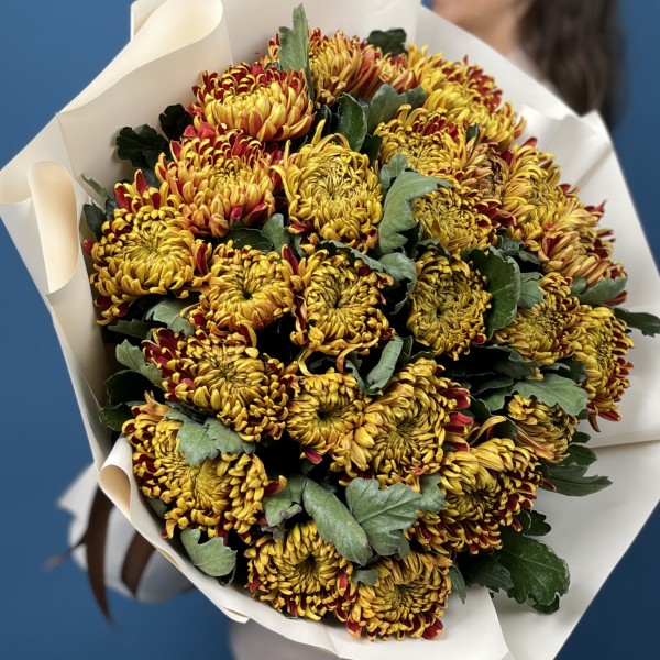 25 Желто-красных хризантем Том Пирс